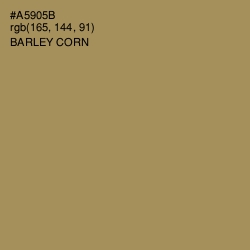 #A5905B - Barley Corn Color Image